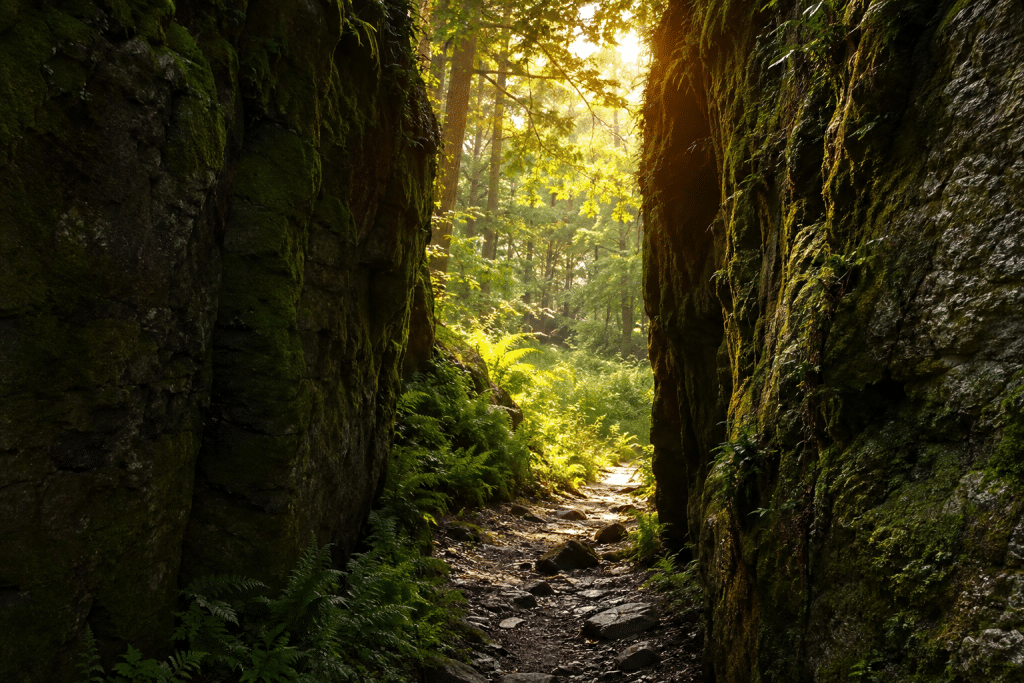 Sentier de forêt qui s'ouvre sur une clairière lumineuse, sortir d'un blocage dans sa vie